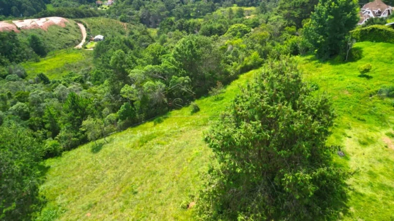 Imagem Terreno em Campos do Jordão