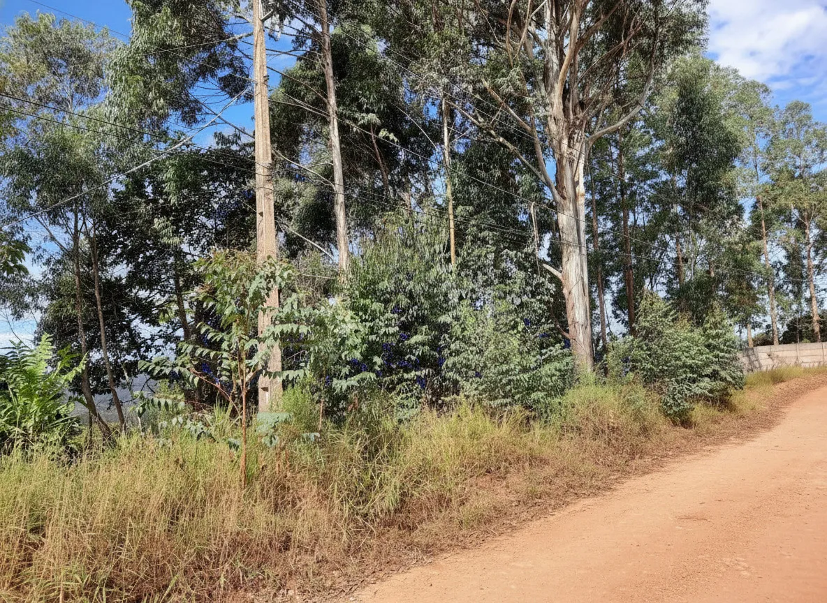 Imagem Chácara 213 m² à venda em Eldorado, Caldas