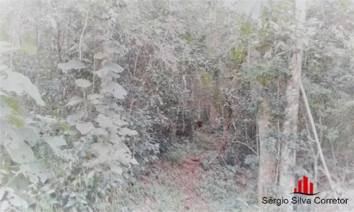 Imagem Chácara Para Venda Com 45.000,00 m², em Santo Antônio do Pinhal.