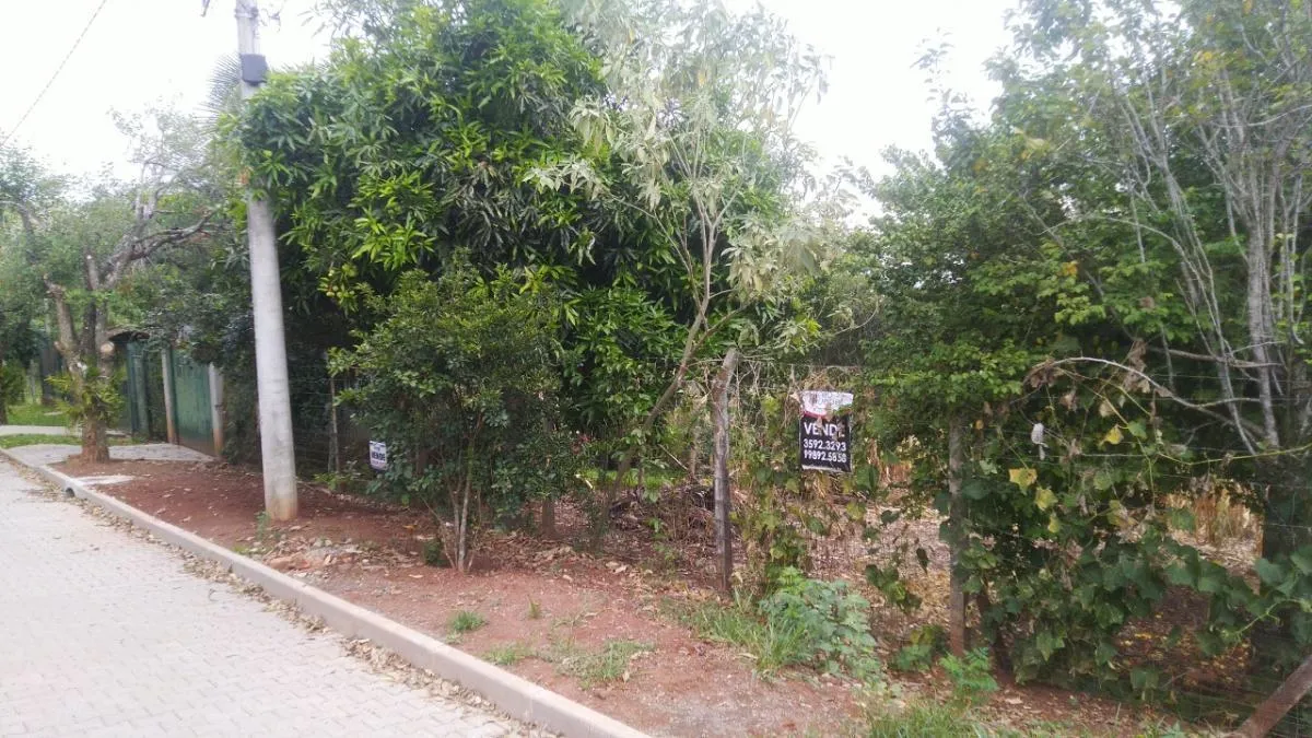 Foto do imóvel Terreno para Venda em São Leopoldo / RS