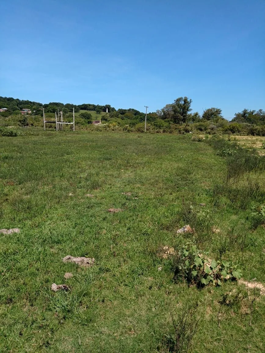 Imagem Terreno para sitio ou construção de condominio - Ponta Grossa