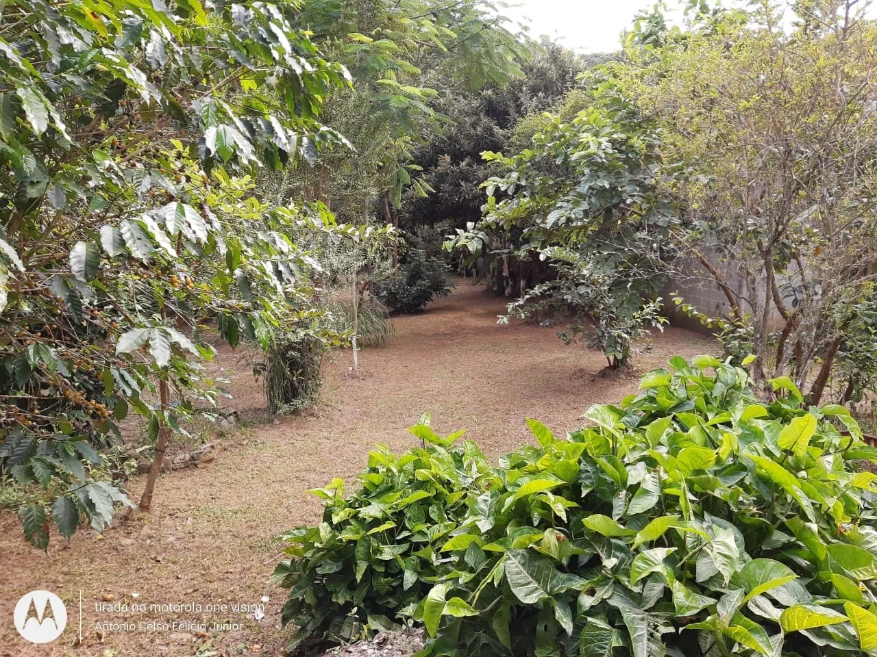 Imagem Chácara à venda 1 Quarto, 10 Vagas, 4000M², Engenho d'água, Guaratinguetá - SP