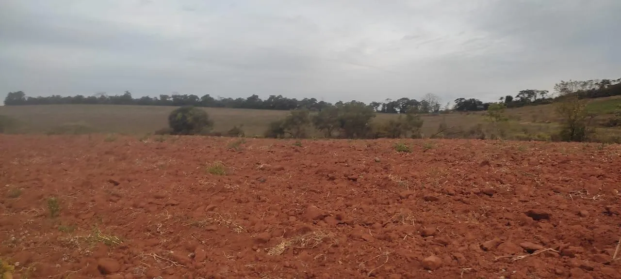 Imagem FAZENDA À VENDA - CRUCILÂNDIA (MG) 120 hectares de área total