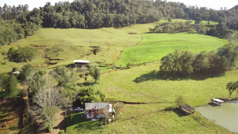 Imagem Área Agrícola para Venda em Concórdia, Rural