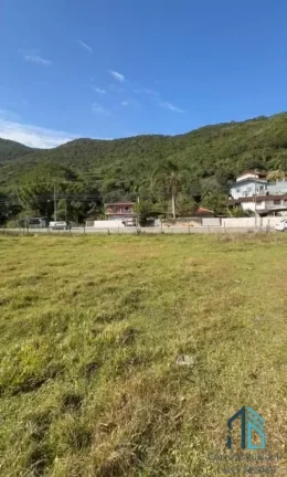 Imagem Terreno de frente pra Rodovia com, 110 de frente X 800 fundos em São José SC
