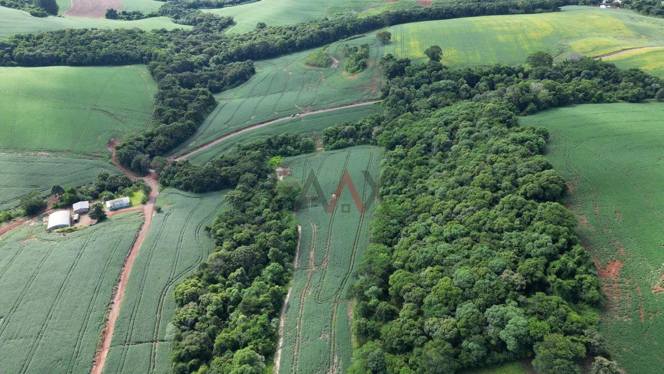 Imagem Àrea de plantio a venda em PITANGA - PR, 12ha sendo 10ha de plantio.