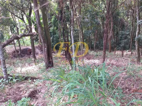 Imagem Terreno no Mato Dentro / Região de Mairiporã