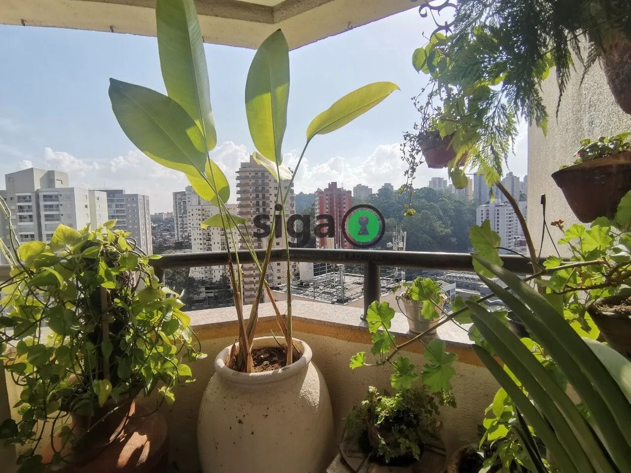 Imagem Apartamento com 3 quartos a venda na Vila Andrade