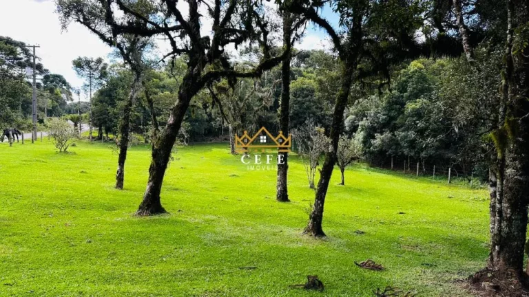 Imagem Chácara - Sítio com 3 Dormitorio(s) localizado(a) no bairro Vila Mina em Canela / RIO GRANDE DO SUL Ref.:1562