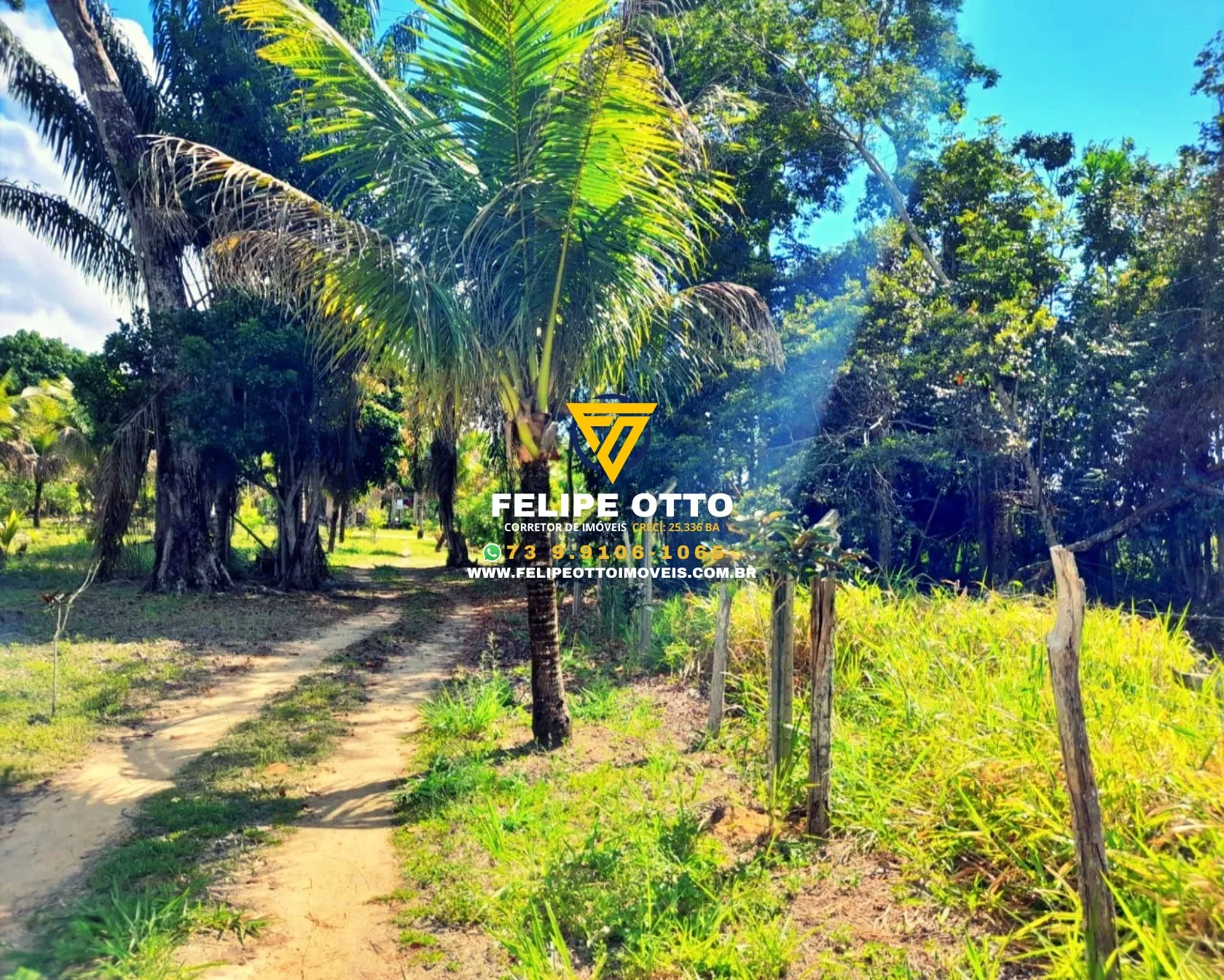 Imagem SITIO RESIDENCIAL em SANTA CRUZ CABRÁLIA - BA, yaya