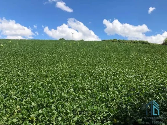 Imagem Área a venda terreno Rural para plantio e chácara na Lapa Paraná