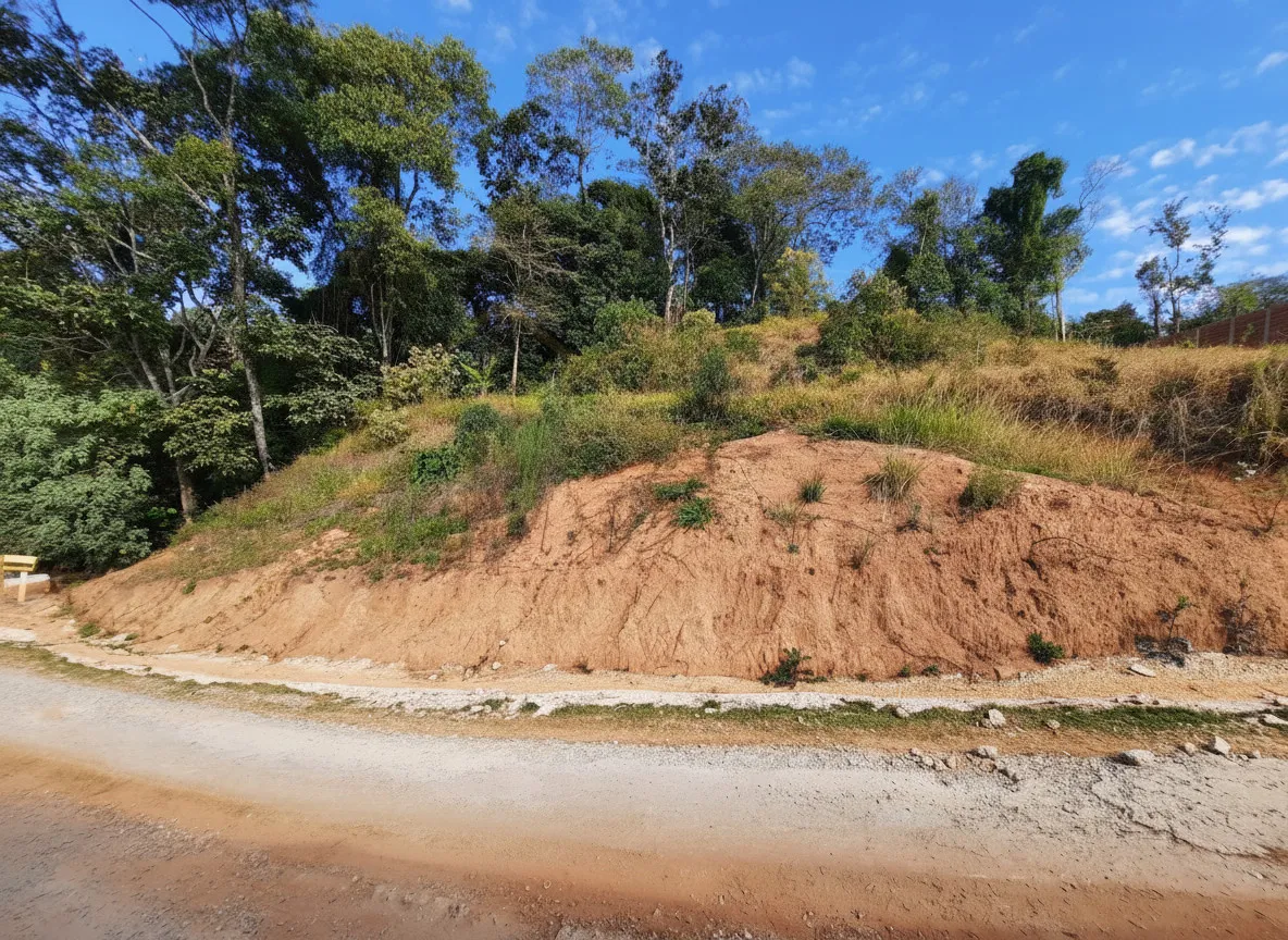 Imagem Terreno à venda em Pinheiros, Bandeira do Sul