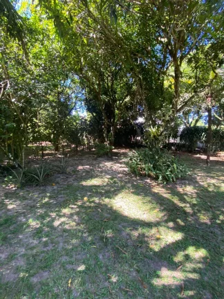 Imagem Barra Grande House