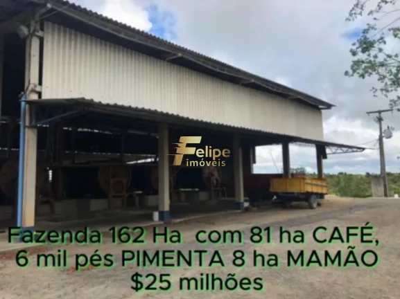 Imagem FAZENDA DE ALTO PADRÃO EM EUNÁPOLIS/BA 162 HECTARES DOCUMENTADOS 81 há de CAFÉ.