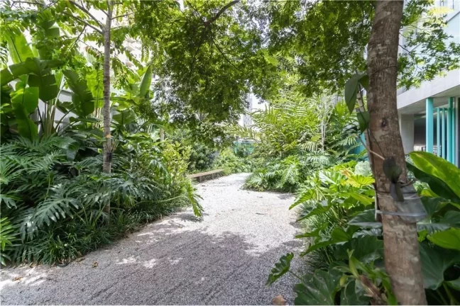 Imagem Sala Comercial 23m² Moema São Paulo Rua Pintassilgo