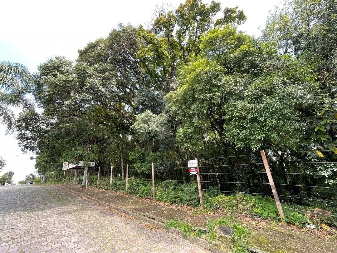 Imagem Terreno em Marechal Floriano