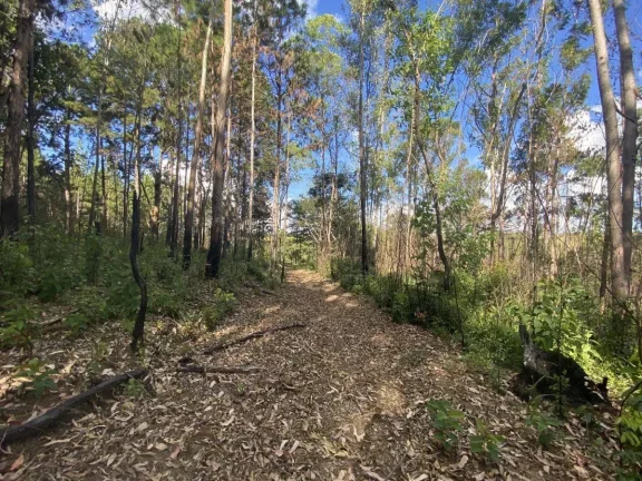 Imagem Terreno à Venda com 97.585,16 m2 na Colônia Rodrigo Silva