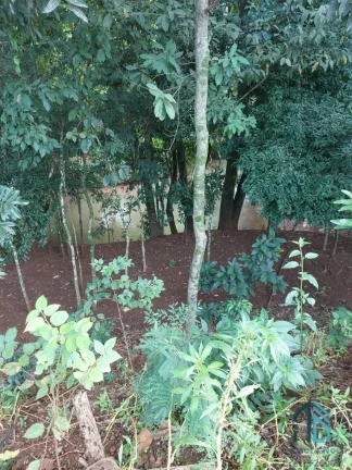 Imagem Chácara 4.000 mil m², com casa localizado em Enéas Marques - PR