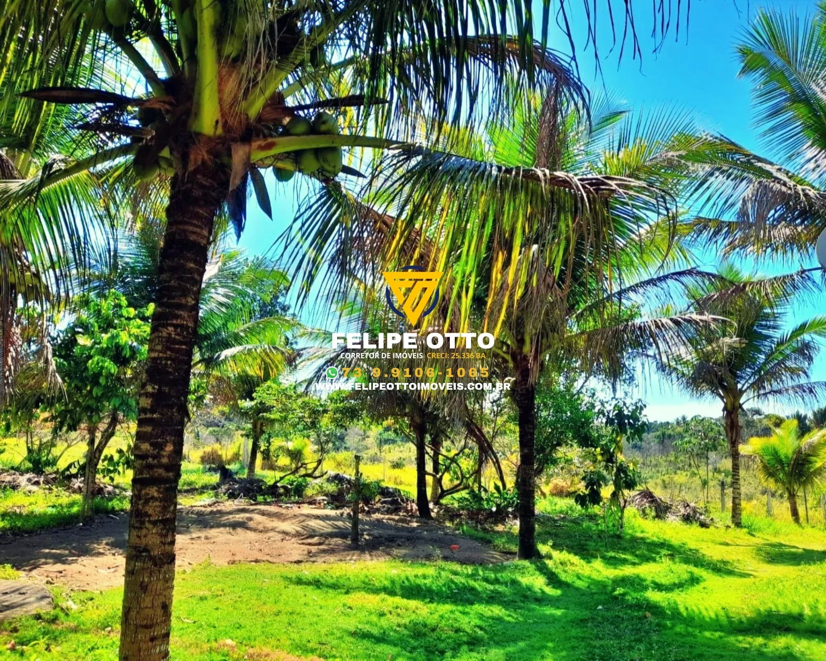 Imagem SITIO RESIDENCIAL em SANTA CRUZ CABRÁLIA - BA, yaya