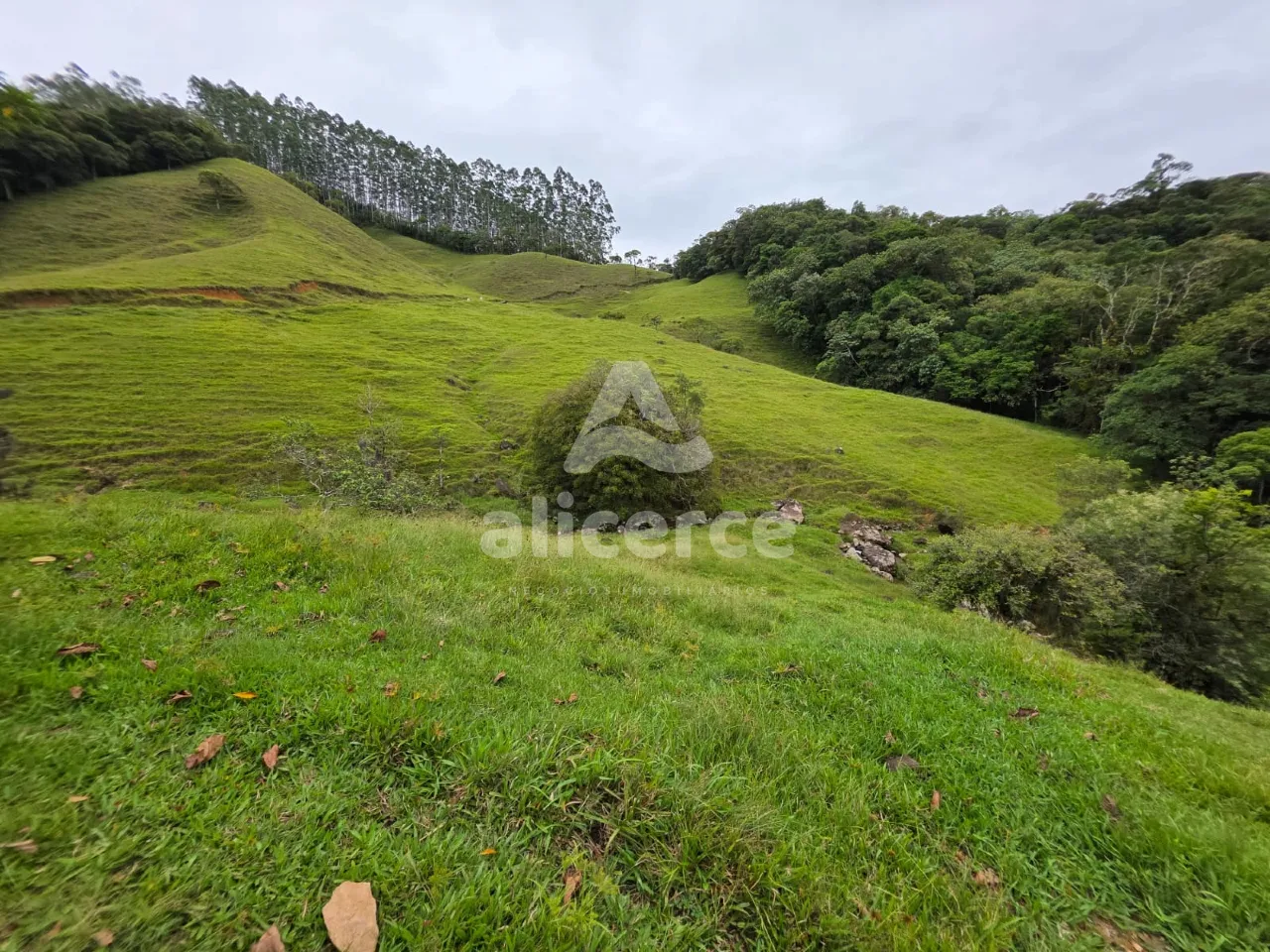 Imagem Sítio à venda em Antônio Carlos, SC, na Zona Rural - Morro da Gloria.