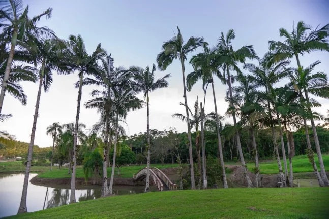 Imagem Chácara | Guaramirim (Tibagi) | 158.500m²