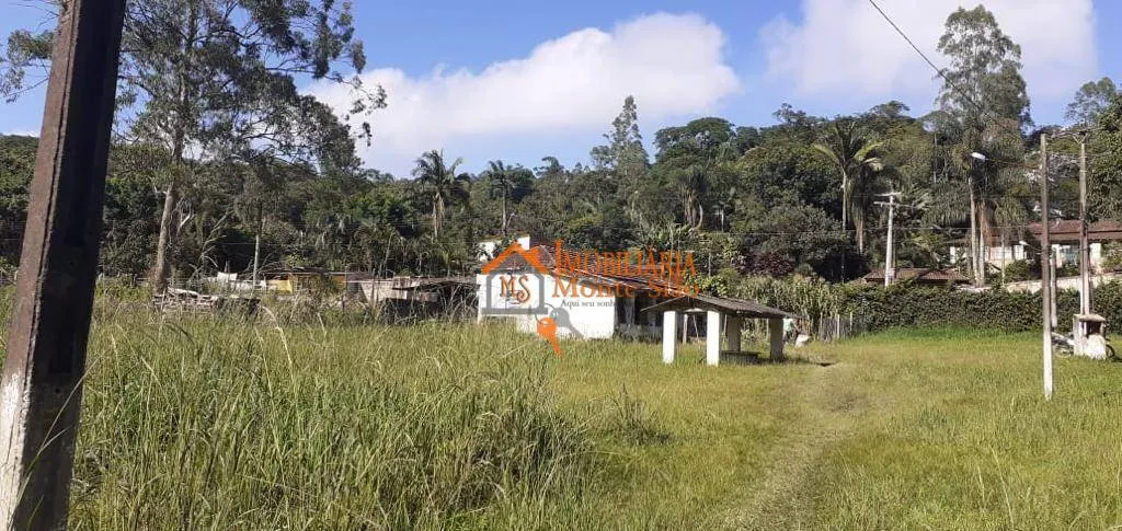 Imagem Sítio com 8 dormitórios à venda, 84000 m² por R$ 1.100.000,00 - Marmelo - Mairiporã/SP