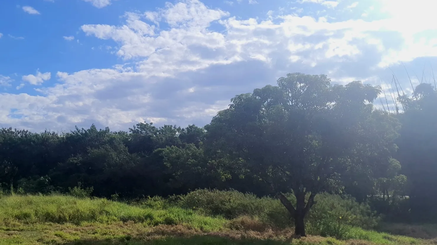 Imagem Terreno à venda 8500M², Jardim Mourisco, Taubaté - SP