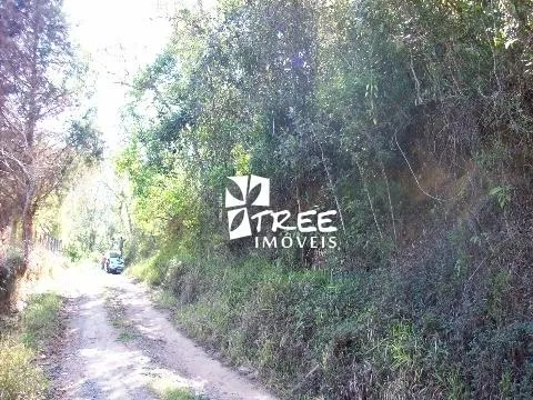 Imagem VENDA DE TERRENO NO RECANTO BONANZA, EM SANTA ISABEL/SP, ÓTIMA OPORTUNIDADE com 5.714m², topografia mista e córrego nos fundos. CONSULTE-NOS.