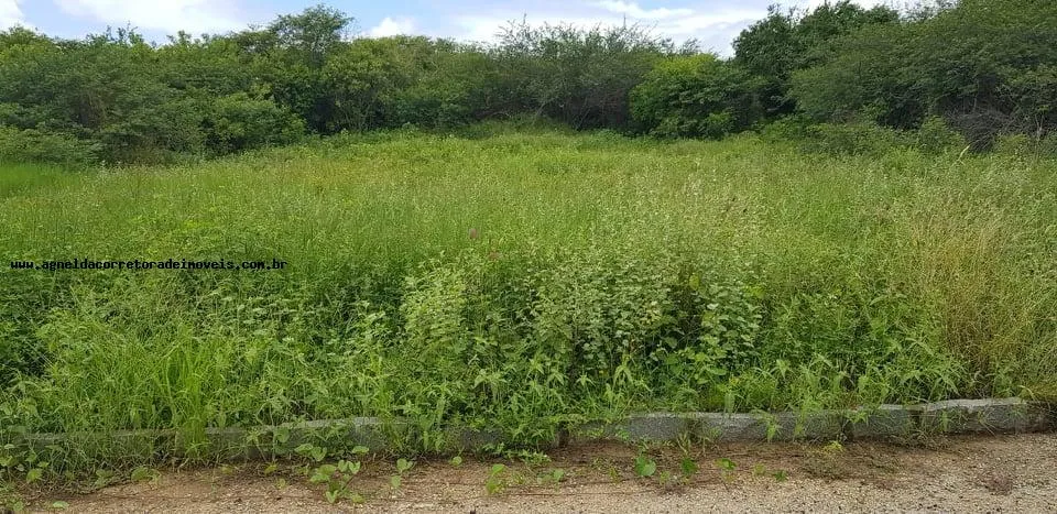 Imagem Lote para Venda em Macaíba, Área Rural de Macaíba