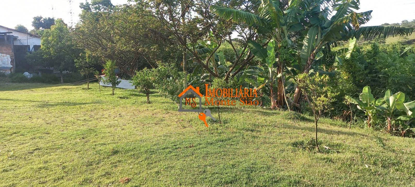 Imagem Área à venda, 22000 m² por R$ 8.000.000,00 - Rio Abaixo - Itaquaquecetuba/SP