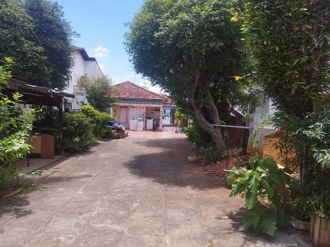 Imagem Terreno para Venda em Santo André / SP no bairro Vila Sacadura Cabral