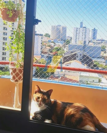 Imagem Apartamento à Venda no Parque das Nações | 78m² | 3 Dormitórios e 2 Vagas