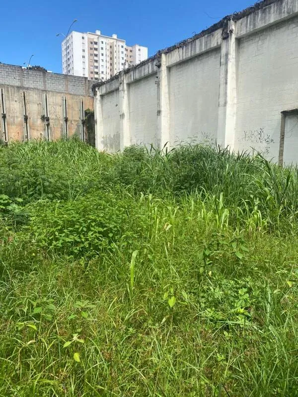 Imagem OPORTUNIDADE+EXCELENTE+LOCALIZAÇÃO
