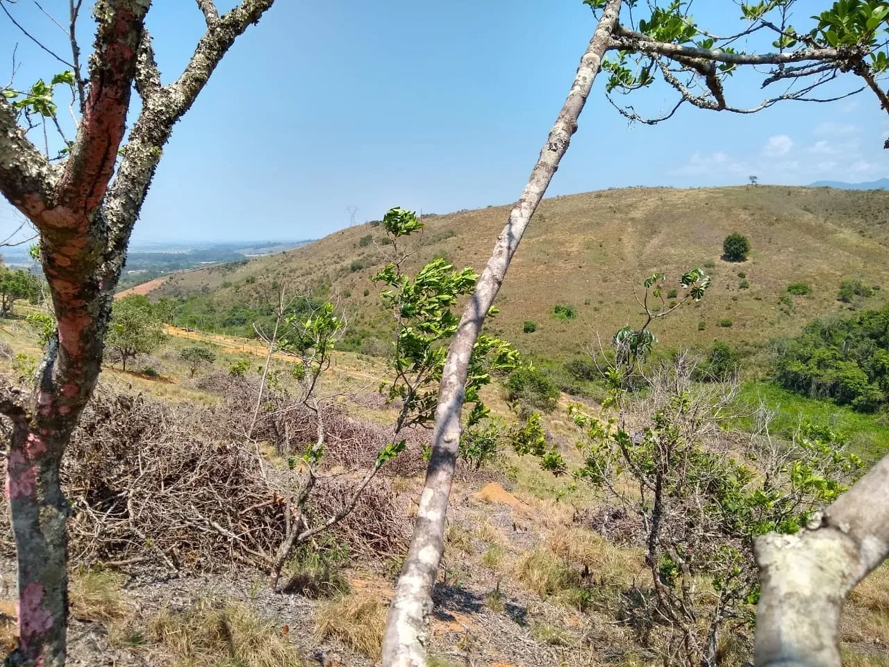 Imagem Chácara à venda 25000M², Mandú, Pindamonhangaba - SP