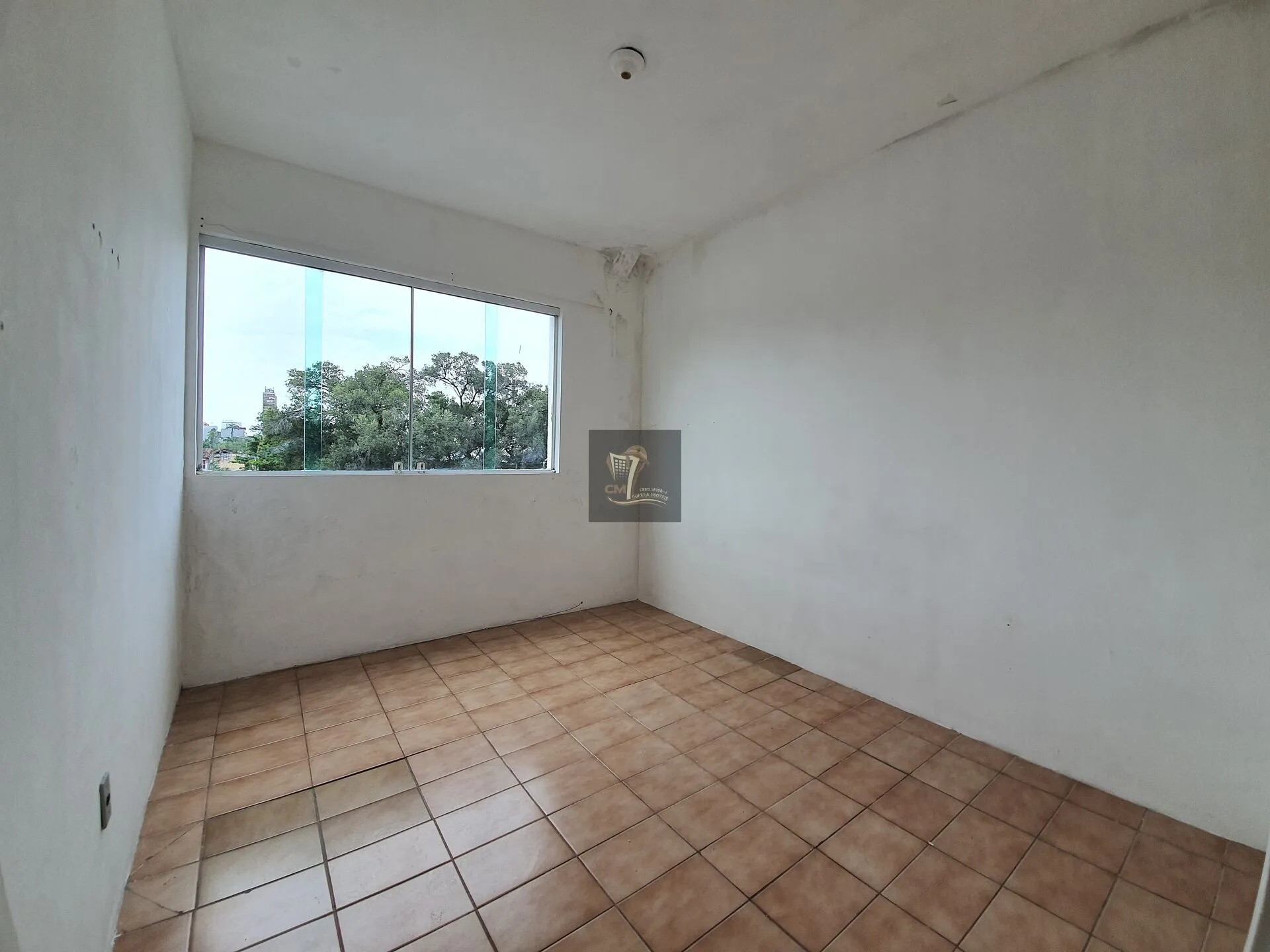 Imagem Tijuca