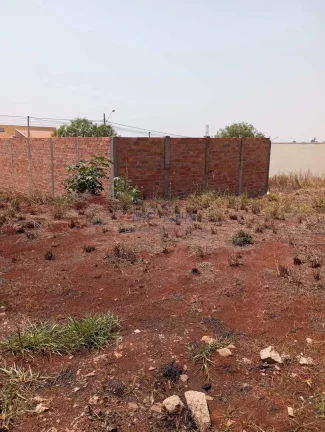 Imagem Terreno Padrão