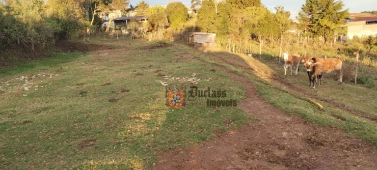 Imagem Terreno à venda, 1000 m² por R$ 90.000,00 - Munhoz - Munhoz/MG