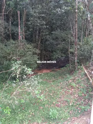 Imagem Sítio á venda com 39.000 m² em Nova Trento - Santa Catarina