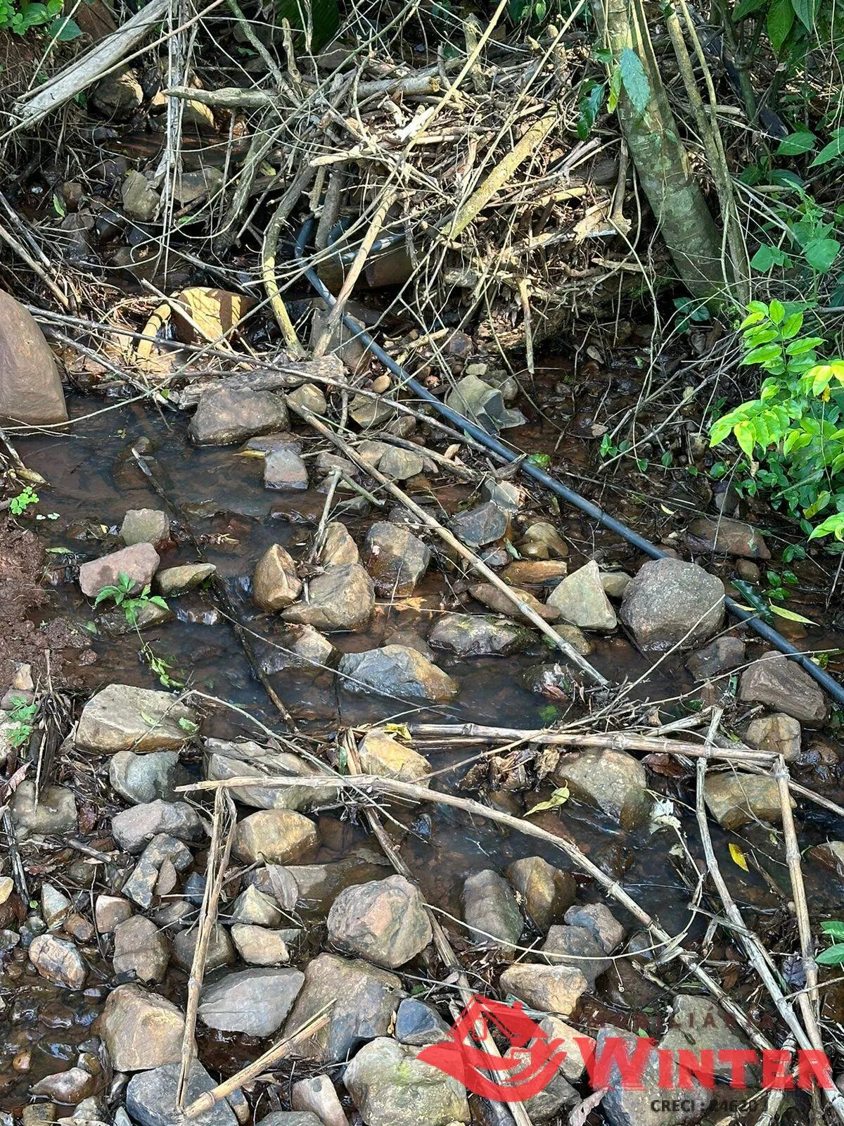 Imagem Área de terras com 10 hectares em Linha Nova