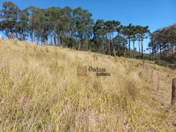 Imagem Área à venda, 6050 m² por R$ 260.000,00 - Furnas de cima - Extrema/MG