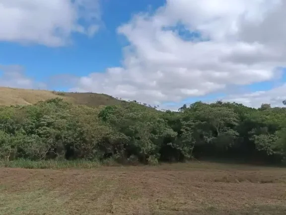 Imagem Oportunidade Única: Terreno de 5.500m2 em Campolide