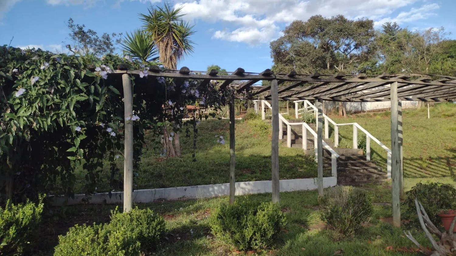 Imagem Vendo um ótimo sítio em Esmeraldas/MG ,com 8.000 m² de terreno