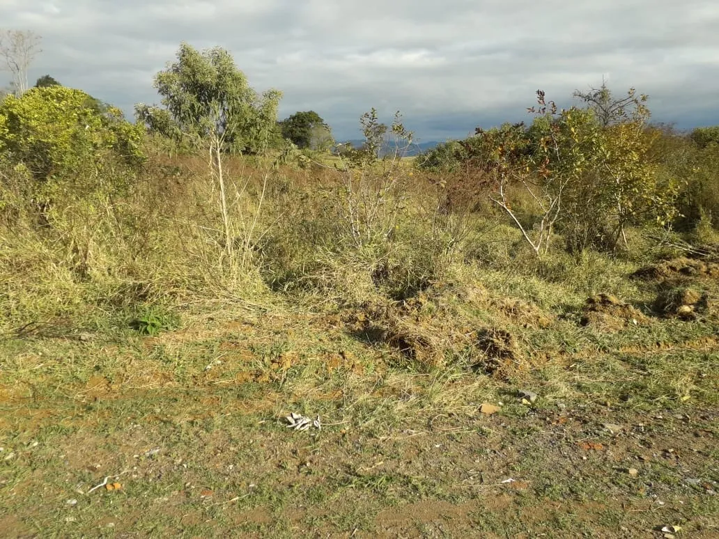 Foto do imóvel Terreno à venda 1000M², Parque das Garças, Guaratinguetá - SP