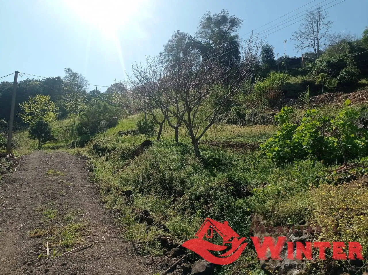 Imagem Chácara com 1,8hectares Canto Dewes, Alto Feliz.