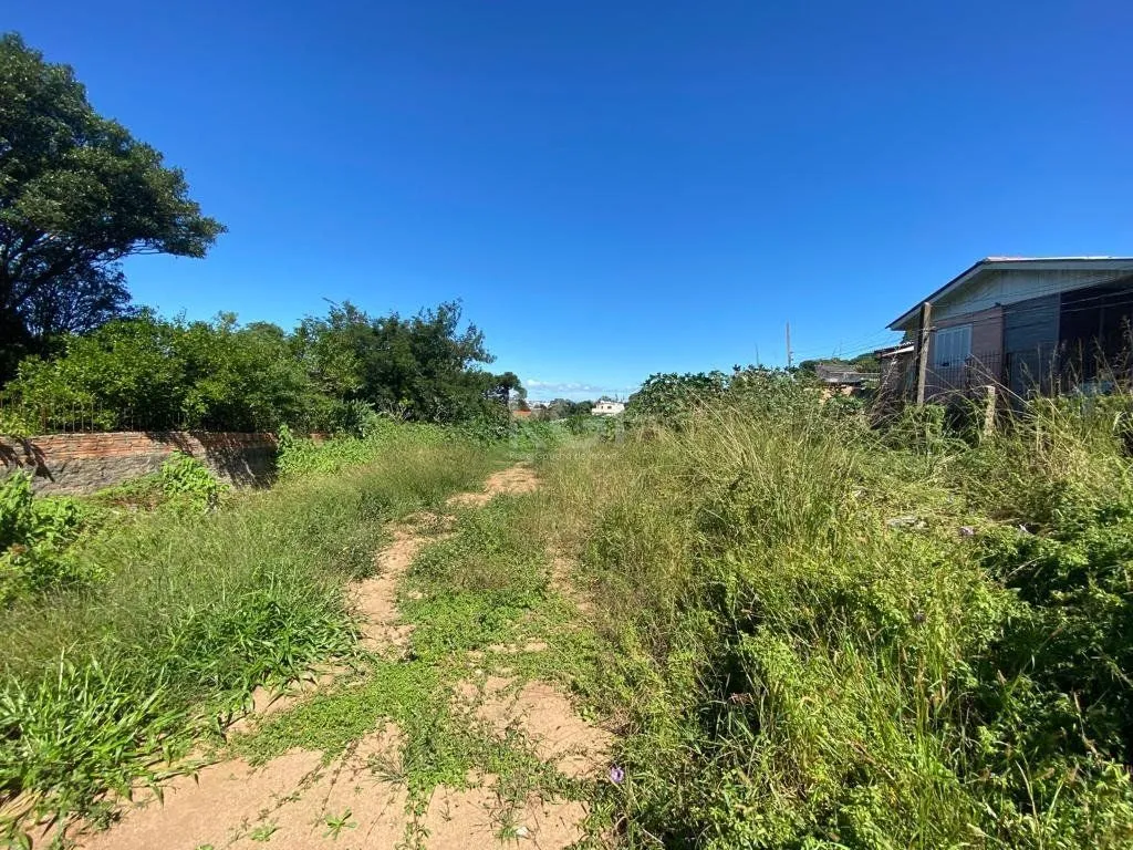 Imagem Terreno para Venda - 1205m², 0 dormitórios, Nonoai