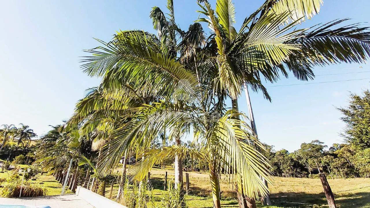 Imagem Sítio à Venda - 3 Dormitórios I Piscina I Churrasqueira I 4.500,00m² I em Três Riachos - Biguaçu/SC