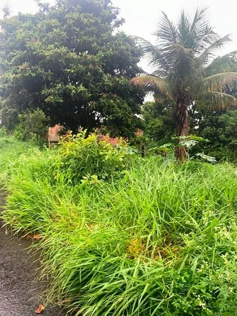 Imagem Terreno à venda, Parque Shangri-lá, Pindamonhangaba, SP