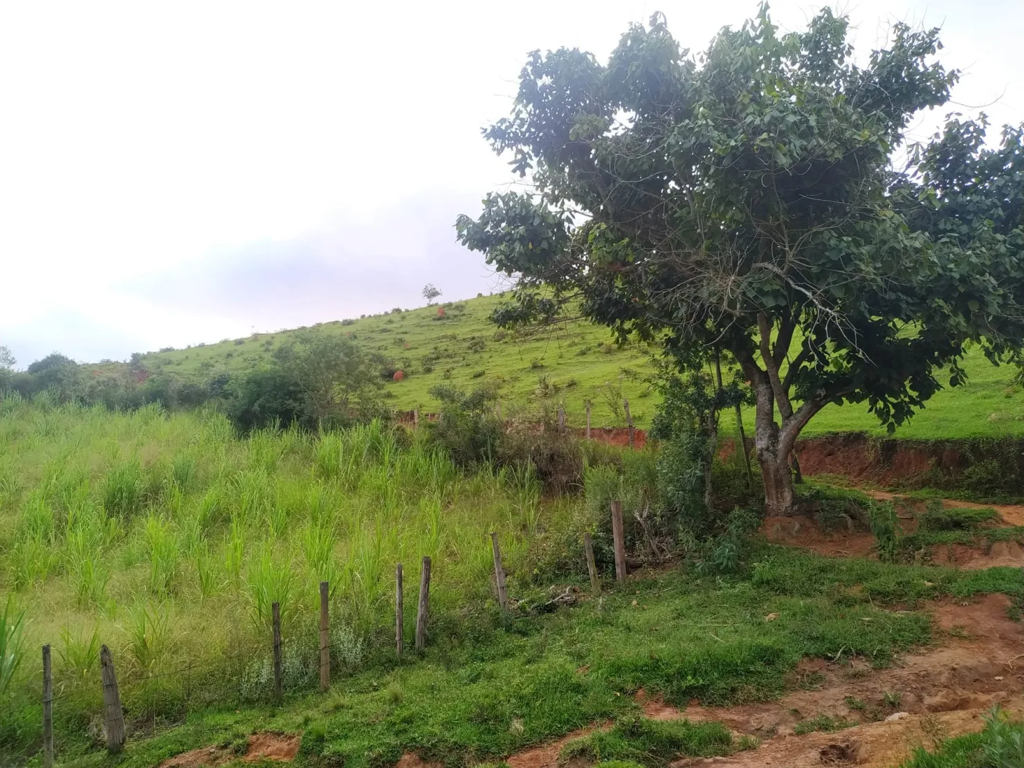 Imagem Chácara à venda 3 Quartos, 1 Suite, 96800M², Zona Rural, São Luiz do Paraitinga - SP