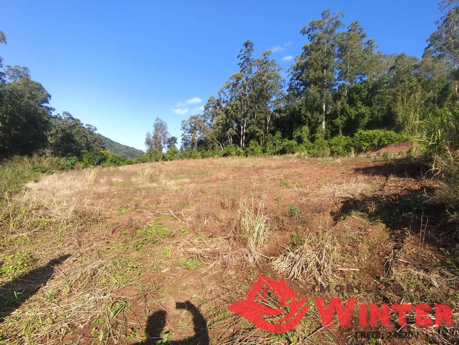 Imagem Área de terras com 3 hectares no Bananal!