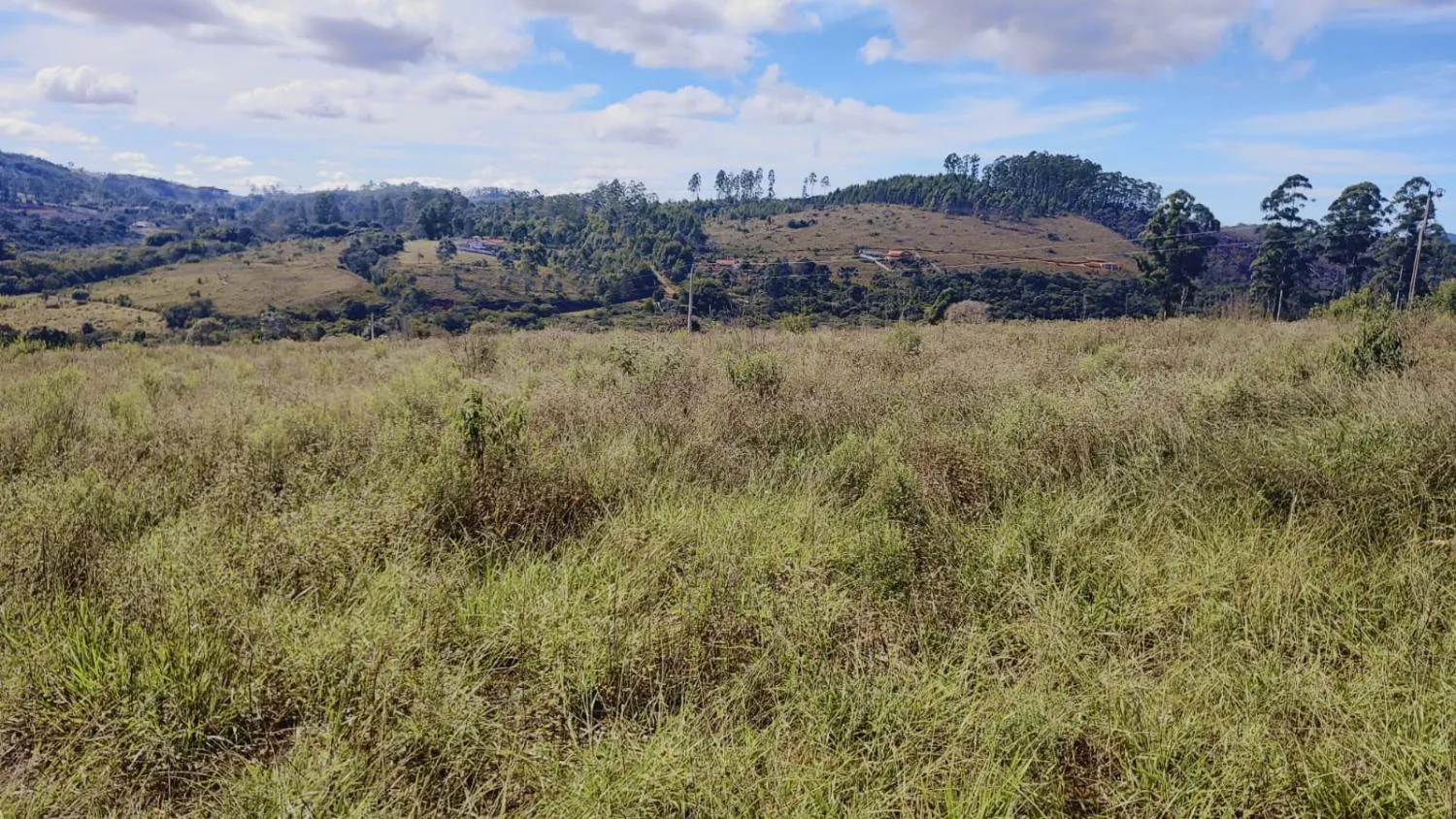 Imagem Excelente Terreno à Venda em Desterro de Entre Rios: 15 Hectares Totalmente Plano
